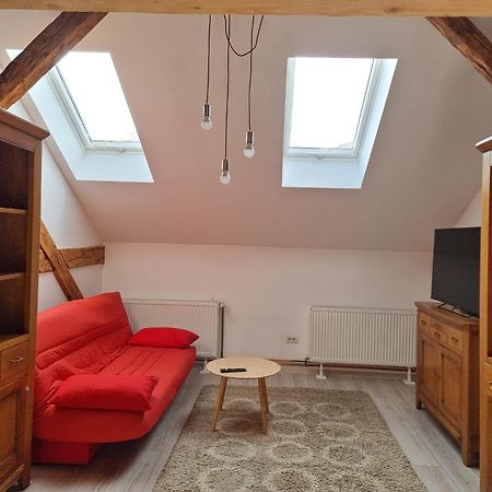 Apartament Spatios In Centru Oradea Dış mekan fotoğraf