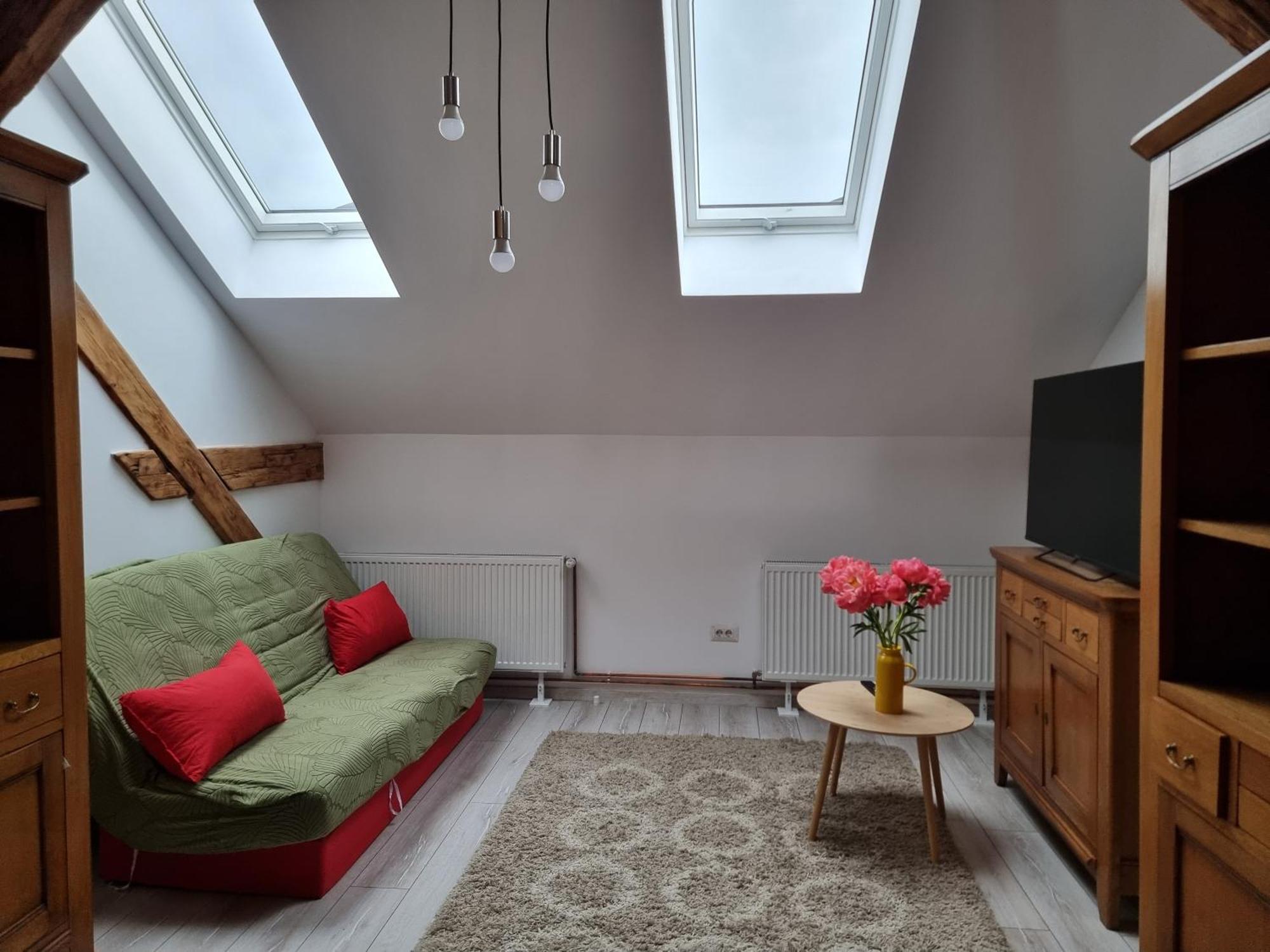 Apartament Spatios In Centru Oradea Dış mekan fotoğraf